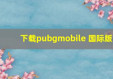 下载pubgmobile 国际版